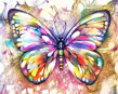 Malování podle čísel Motýl M991854Z