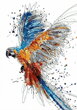 Malování podle čísel Papoušek M991861
