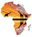 Malování podle čísel Africký kontinent M992182