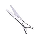 Beard Brush Gaira 40701-16