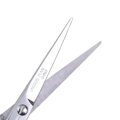 Beard Brush Gaira 40701-16