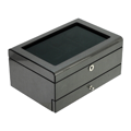 Watch and jewelry box 202272-10