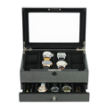 Watch and jewelry box 202272-10
