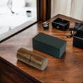 Watch box Gaira 23411-10