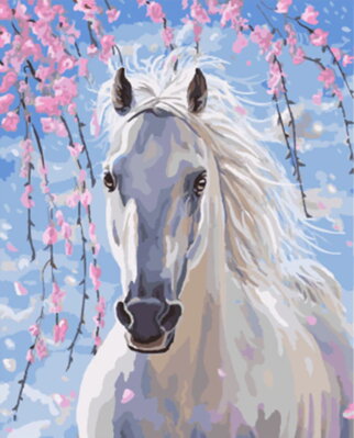 Malování podle čísel Bílý kůň M991642