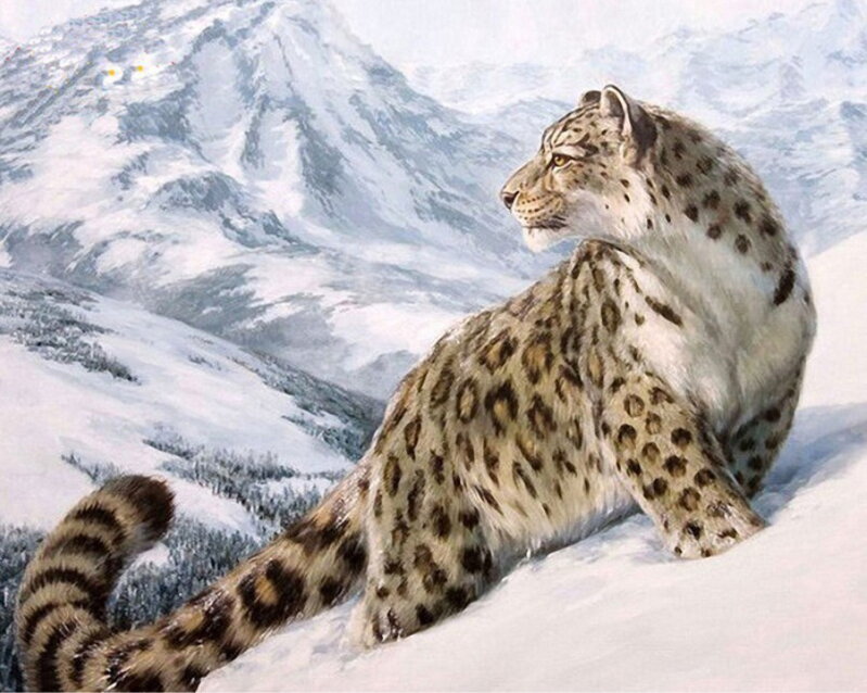 Malování podle čísel Sněžný levhart M1061