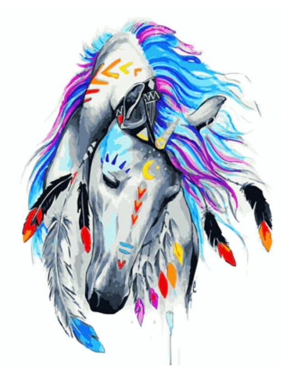Malování podle čísel Kůň Indiánů M991970