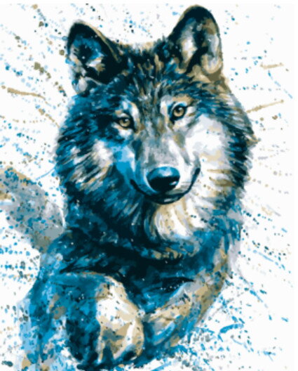 Malování podle čísel Vlk M992201