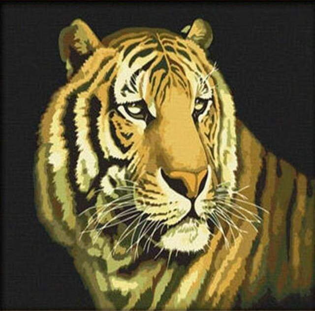 Malování podle čísel Tygr M9578