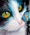 Malování podle čísel Kočička a motýlek M169YH
